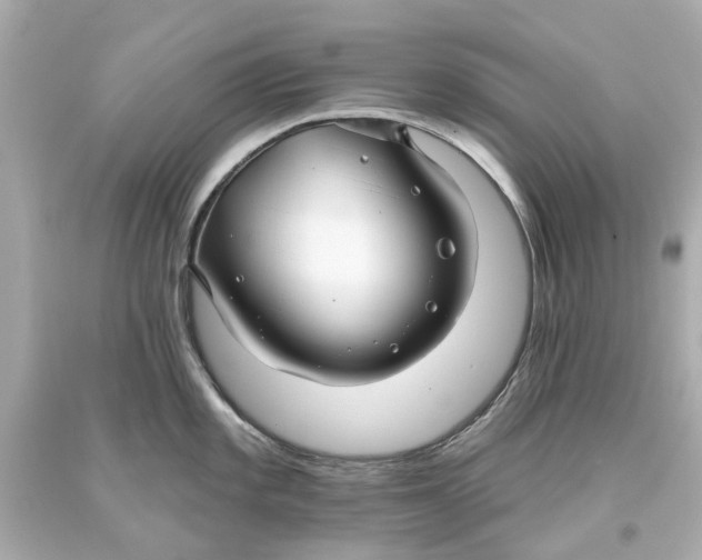 X0000093581101200711051113