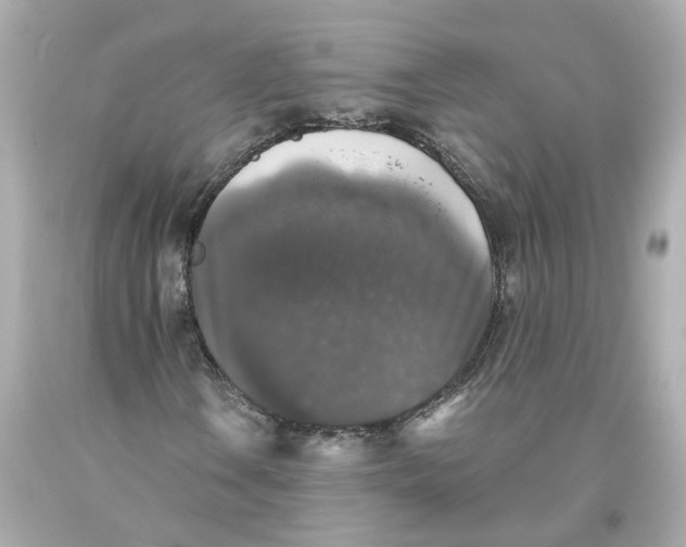 X0000093581106200711051112