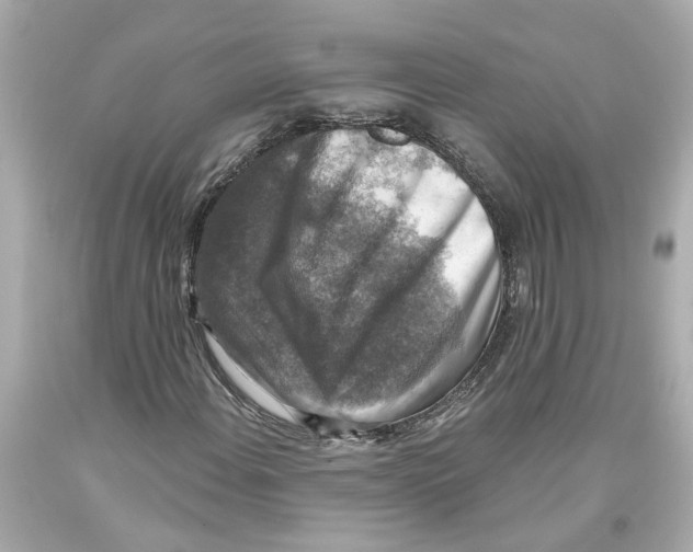 X0000093581108200711051112