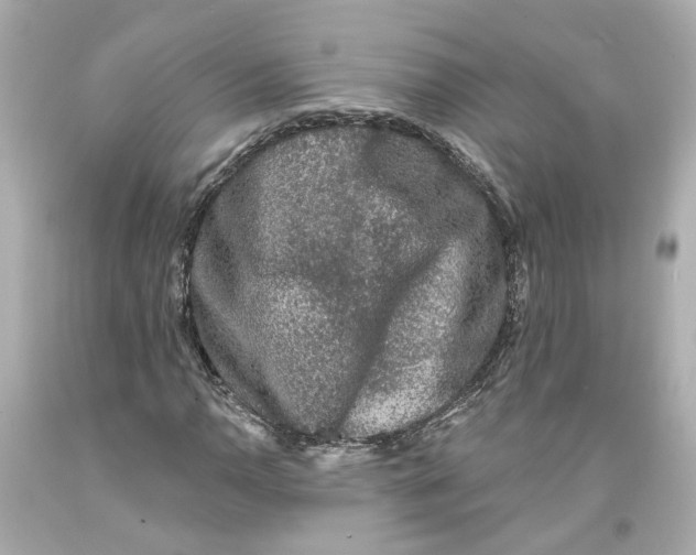 X0000093581110200711051112