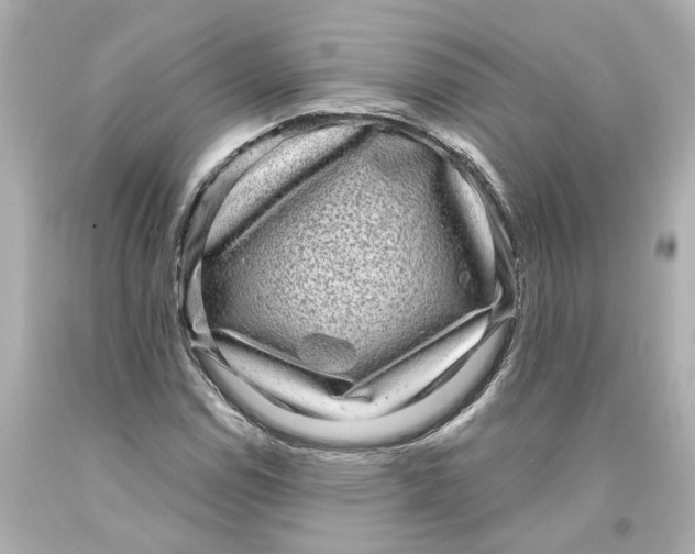 X0000093581114200711051112