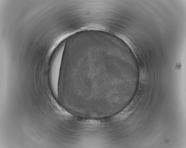 X0000093581115200711051112