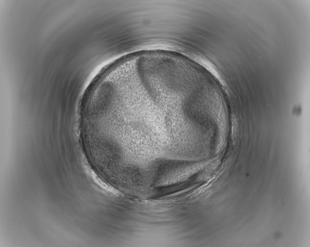 X0000093581116200711051112