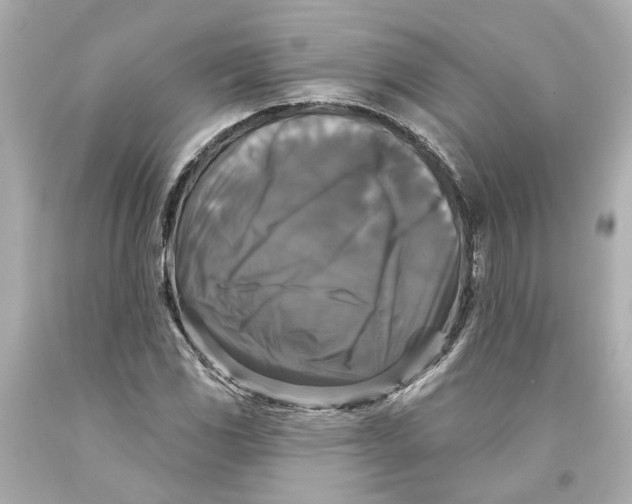 X0000093581117200711051112