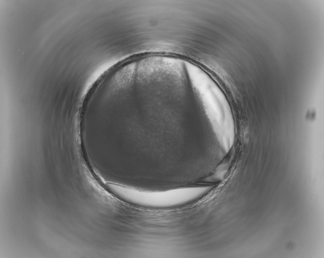 X0000093581120200711051112