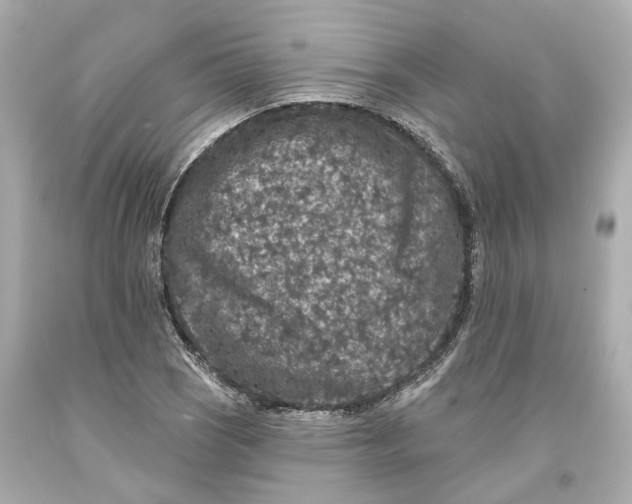 X0000093581121200711051112