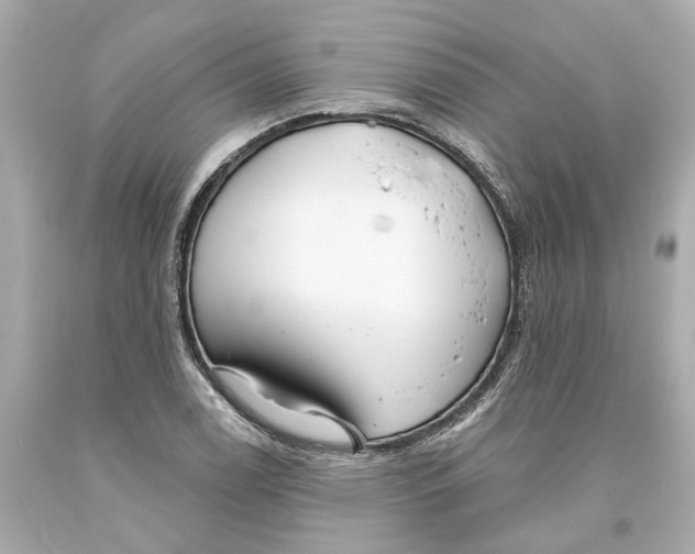 X0000093581122200711051112