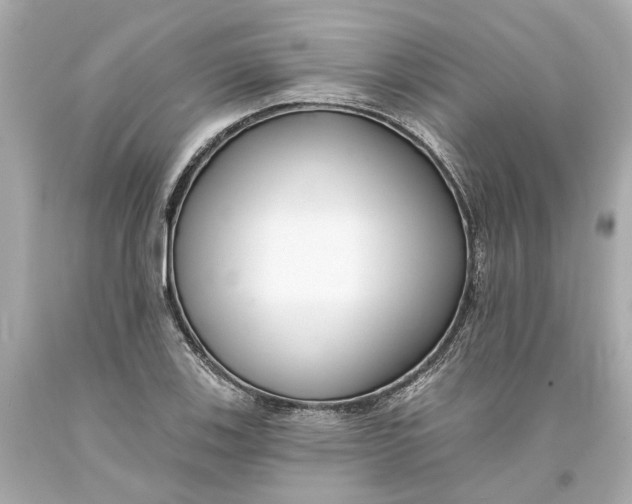 X0000093581123200711051112