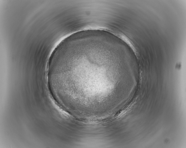 X0000093581124200711051112