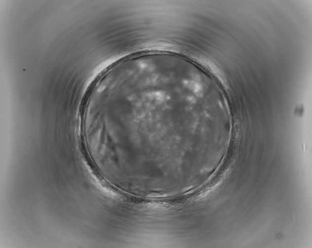 X0000093581125200711051112