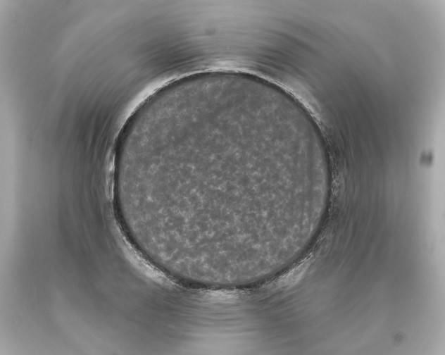 X0000093581126200711051112