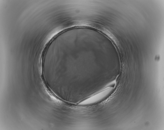 X0000093581127200711051112