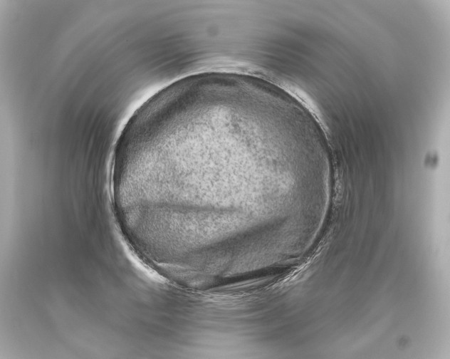 X0000093581128200711051112