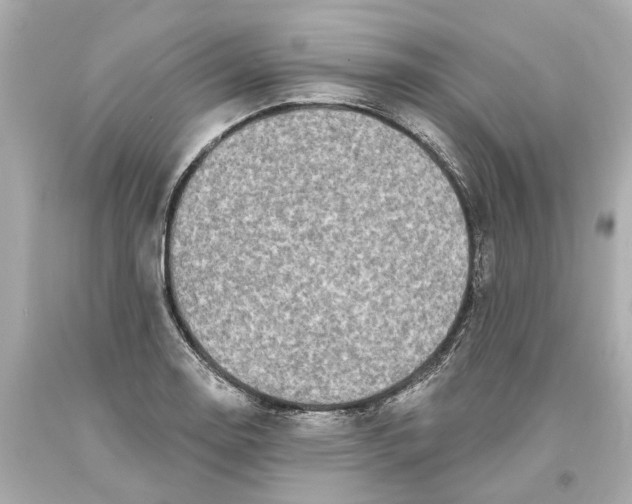 X0000093581130200711051112