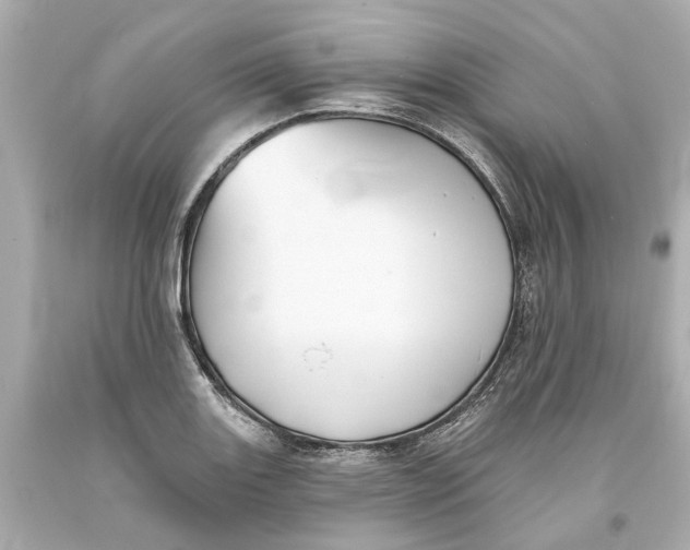 X0000093581131200711051113