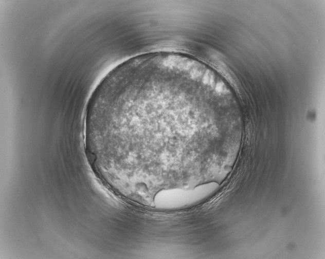 X0000093581132200711051113