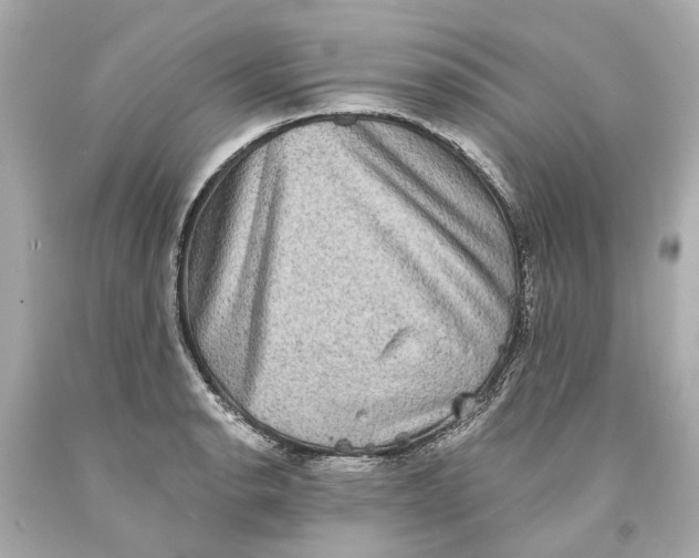 X0000093581134200711051113