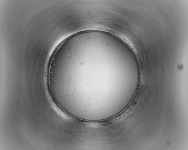 X0000093581136200711051113