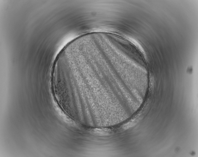 X0000093581138200711051113