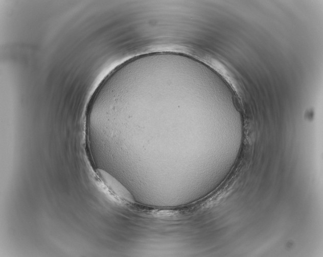 X0000093581140200711051113