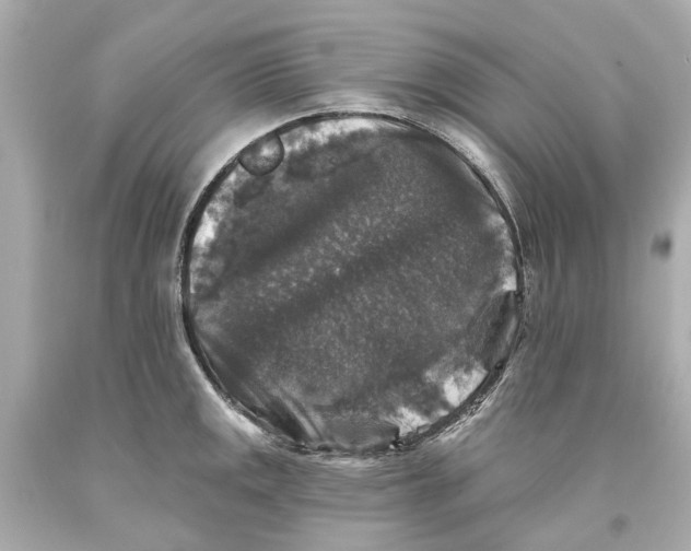 X0000093581141200711051113