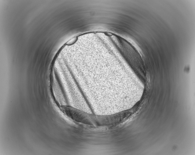 X0000093581142200711051113