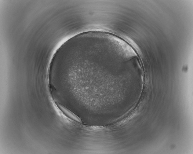 X0000093581144200711051113