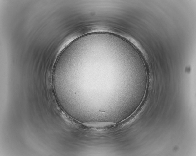 X0000093581145200711051113