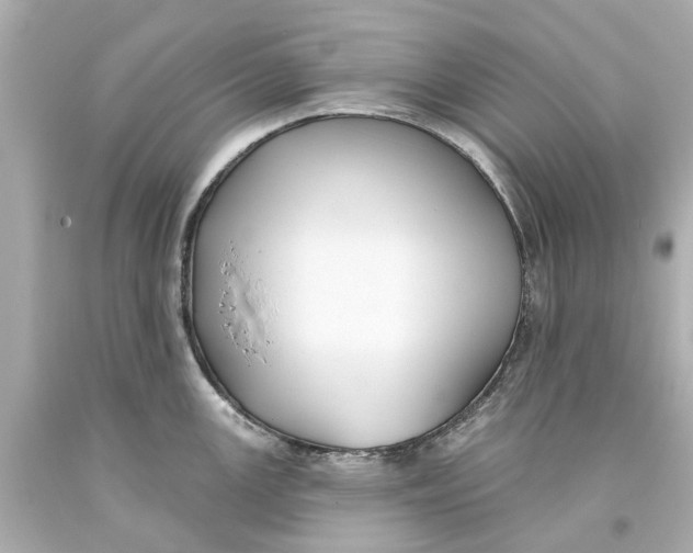 X0000093581147200711051113