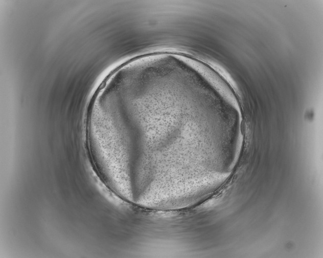 X0000093581148200711051113