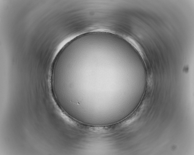 X0000093581149200711051113