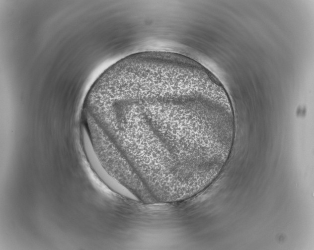 X0000093581152200711051113