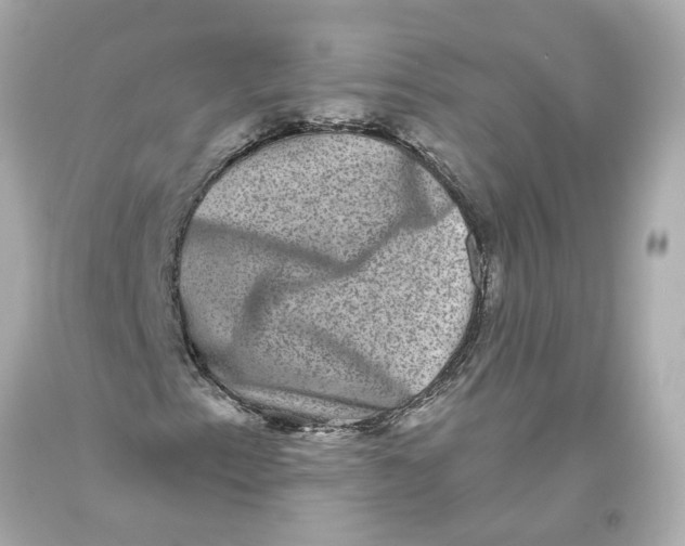 X0000093581153200711051112