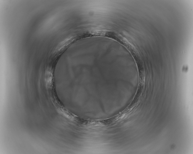 X0000093581154200711051112