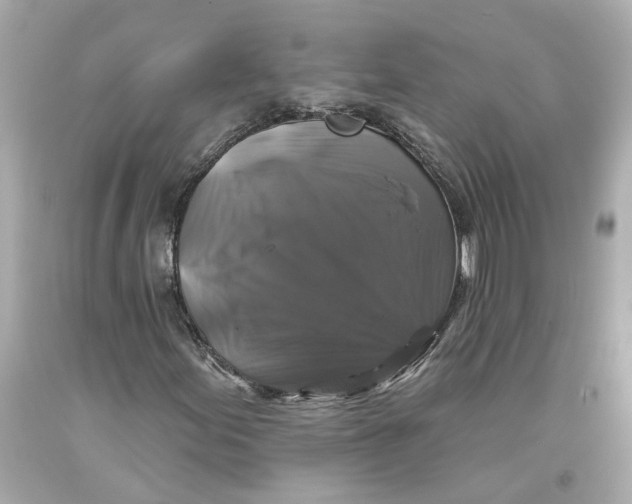 X0000093581155200711051112