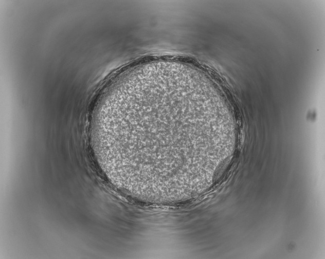 X0000093581157200711051112