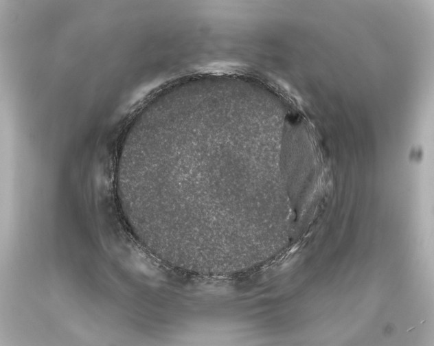 X0000093581158200711051112