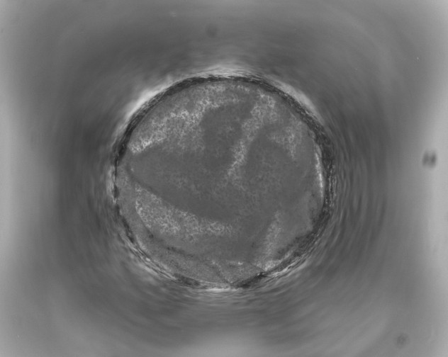 X0000093581160200711051112