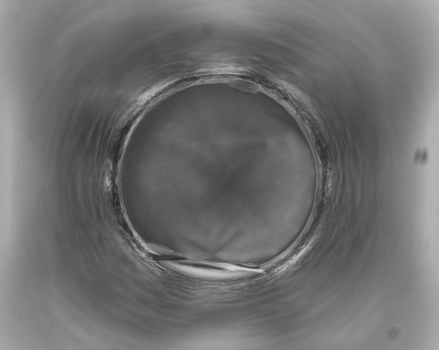 X0000093581161200711051112