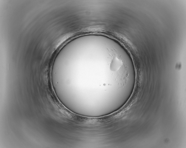 X0000093581162200711051112