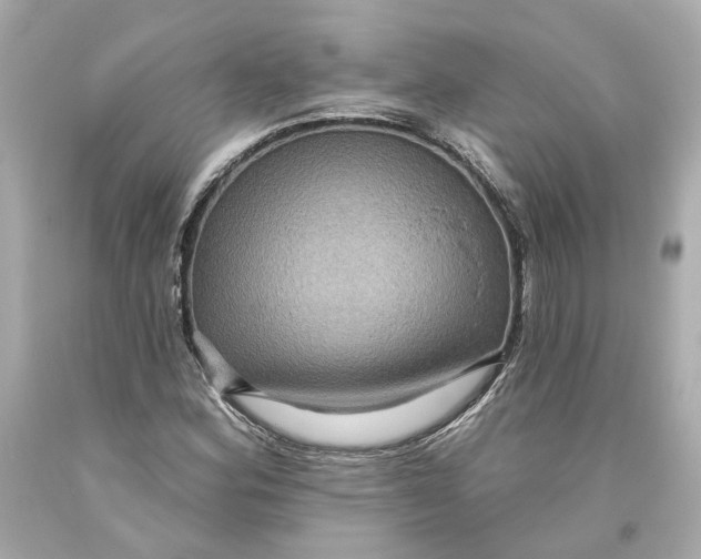 X0000093581164200711051112