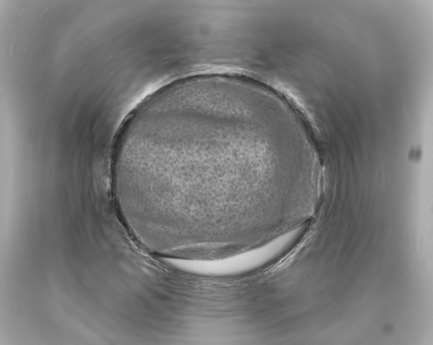 X0000093581165200711051112