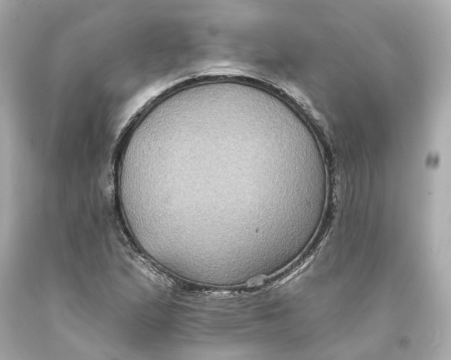 X0000093581167200711051112