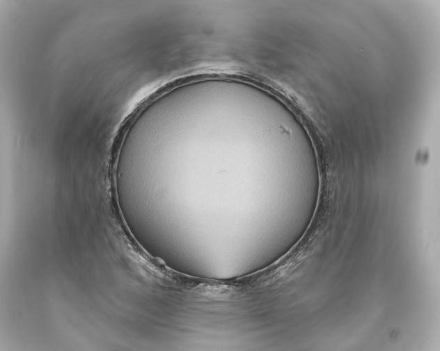 X0000093581168200711051112