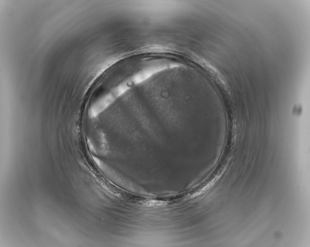 X0000093581170200711051112