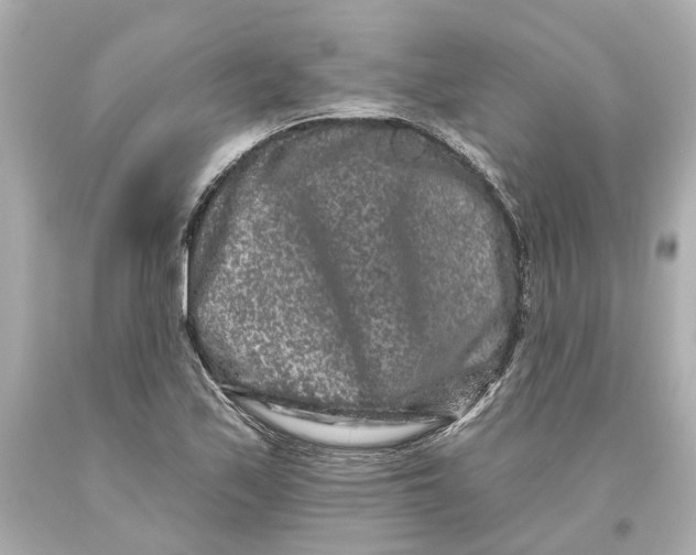 X0000093581171200711051112