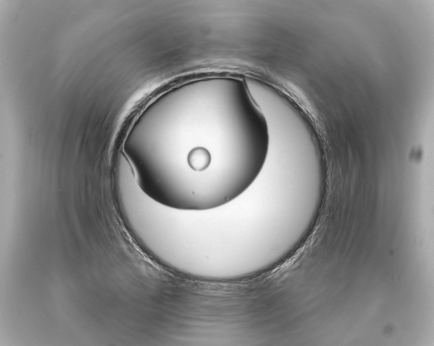 X0000093581172200711051112