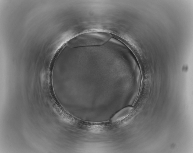 X0000093581173200711051112