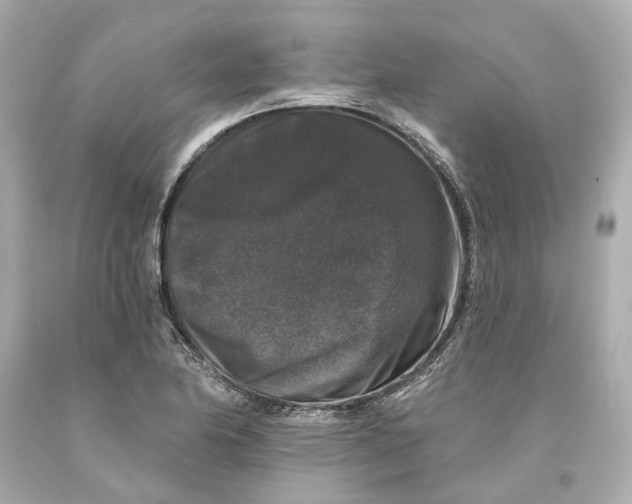 X0000093581174200711051112