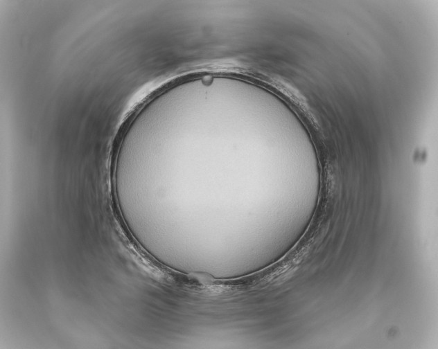 X0000093581176200711051112